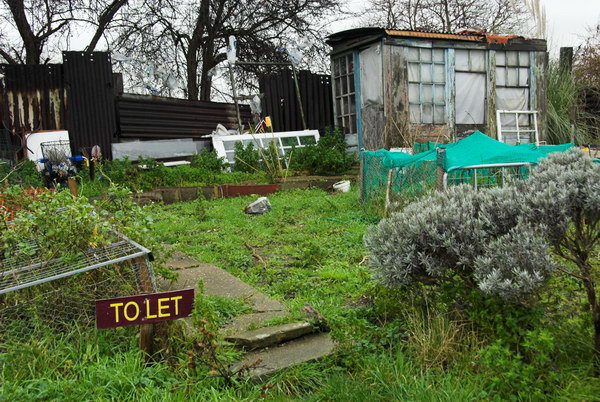 Manor Garden Allotments, Hackney Wick © Peter Marshall, 2007