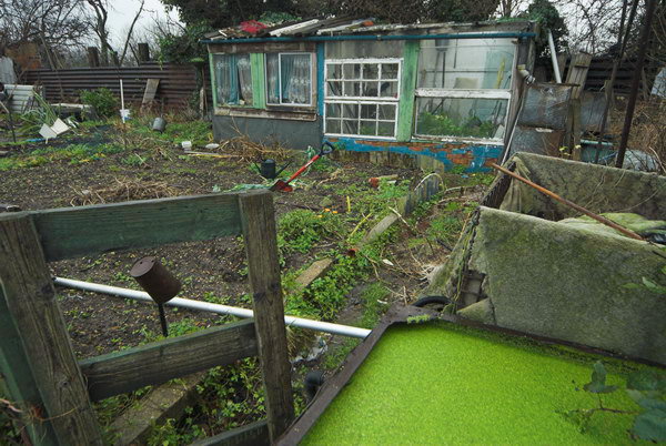 Manor Garden Allotments, Hackney Wick © Peter Marshall, 2007