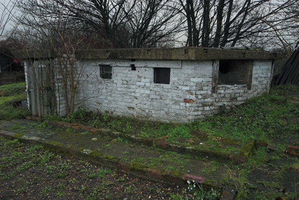 Manor Garden Allotments, Hackney Wick © Peter Marshall, 2007