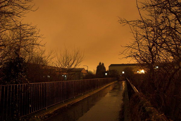 New Year Feast - Manor Garden Allotments