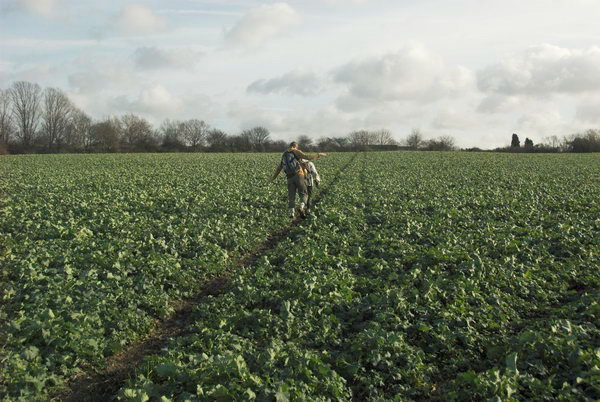 London Loop: Chigwell to Harold Wood © Peter Marshall. 2007