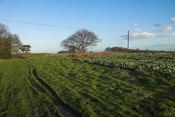 London Loop: Chigwell to Harold Wood © Peter Marshall. 2007