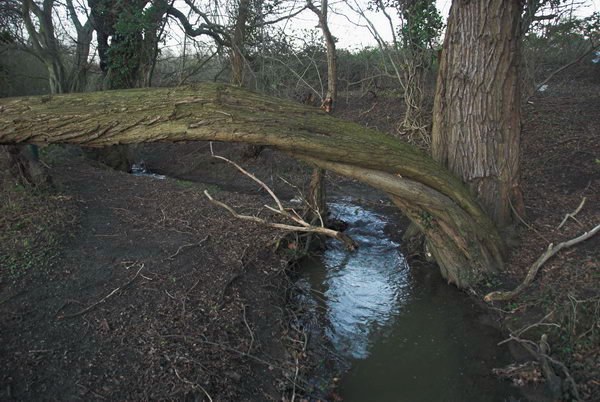 London Loop: Chigwell to Harold Wood © Peter Marshall. 2007