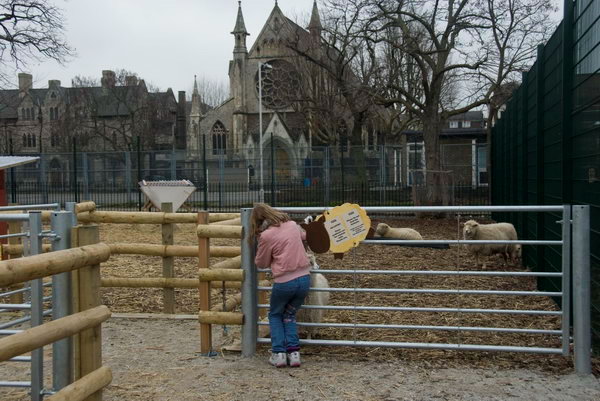 Spitalfields Urban Farm © 2007, Peter Marshall