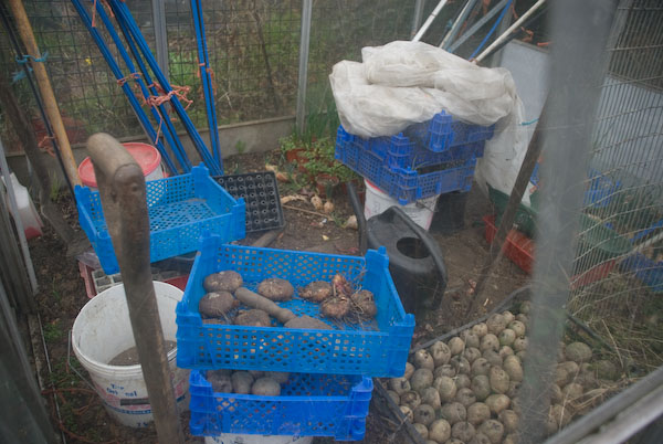Manor Gardens Allotments © 2007, Peter Marshall
