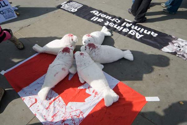 Stop Seal Slaughter © 2007, Peter Marshall