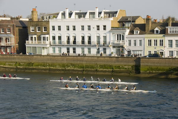 Head of the River Race © 2007, Peter Marshall