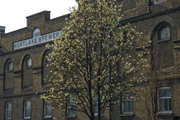 Mortlake © 2007, Peter Marshall