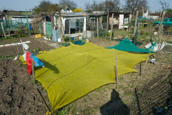 Manor Gardens © 2007, Peter Marshall