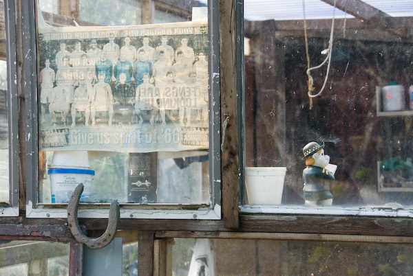 Manor Gardens © 2007, Peter Marshall