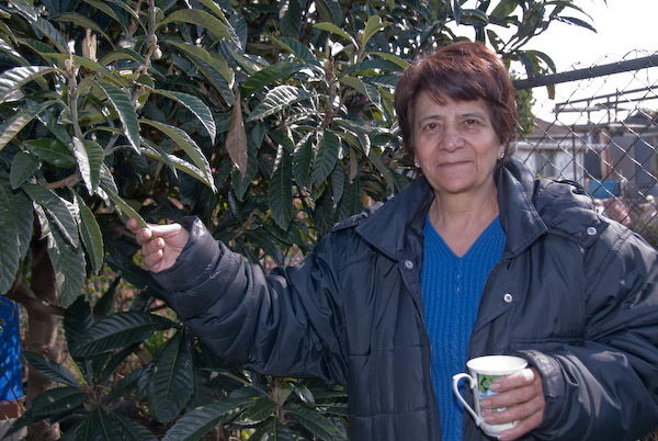 © 2007, Peter Marshall