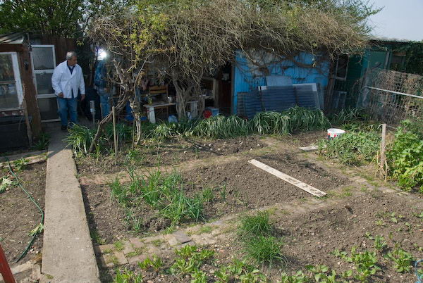 Manor Gardens © 2007, Peter Marshall