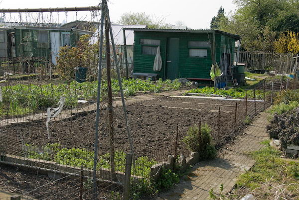 Manor Gardens © 2007, Peter Marshall