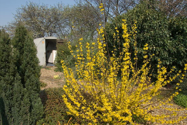 Manor Gardens © 2007, Peter Marshall