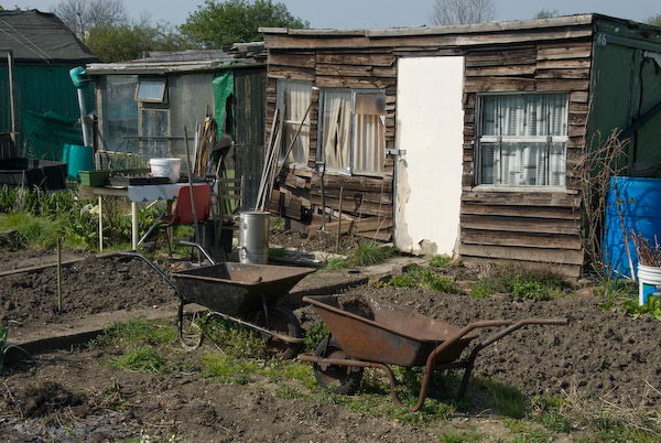 Manor Gardens © 2007, Peter Marshall