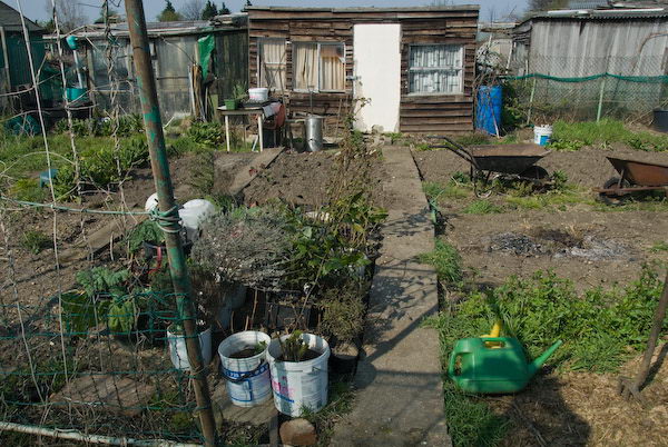 Manor Gardens © 2007, Peter Marshall