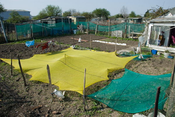 Manor Gardens © 2007, Peter Marshall