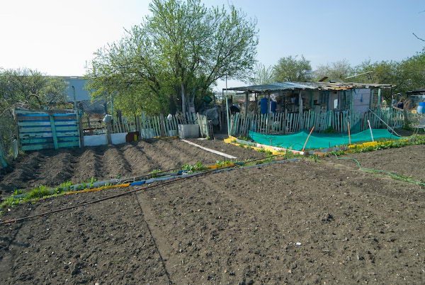 Manor Gardens © 2007, Peter Marshall