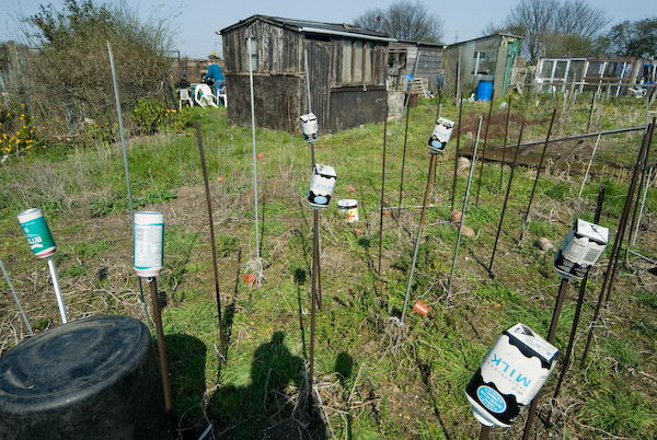 Manor Gardens © 2007, Peter Marshall