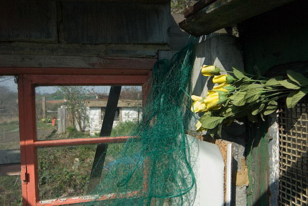 Manor Gardens © 2007, Peter Marshall