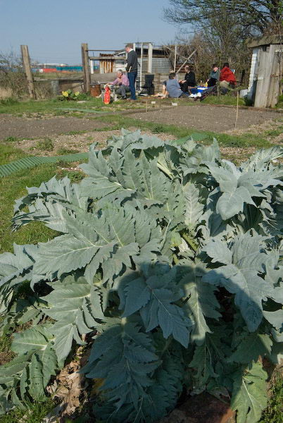 Manor Gardens © 2007, Peter Marshall