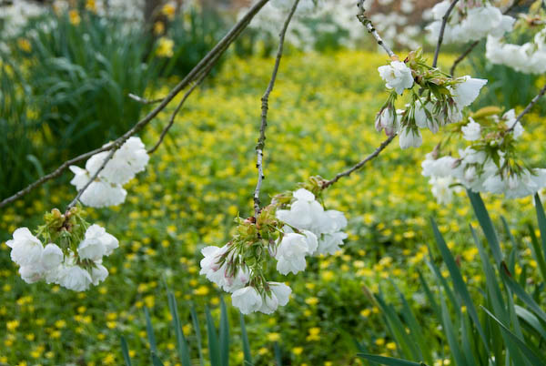 Amberley, Sussex © 2007, Peter Marshall