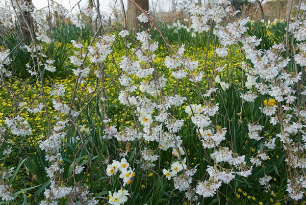 Amberley, Sussex © 2007, Peter Marshall