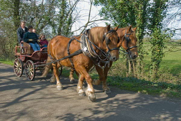 Amberley, Sussex © 2007, Peter Marshall
