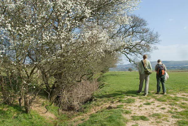Amberley, Sussex © 2007, Peter Marshall