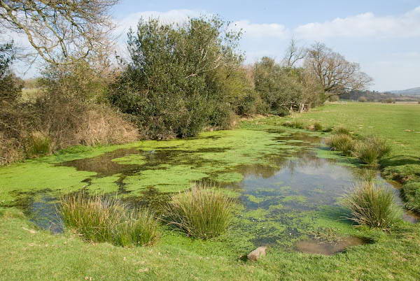 Amberley, Sussex © 2007, Peter Marshall