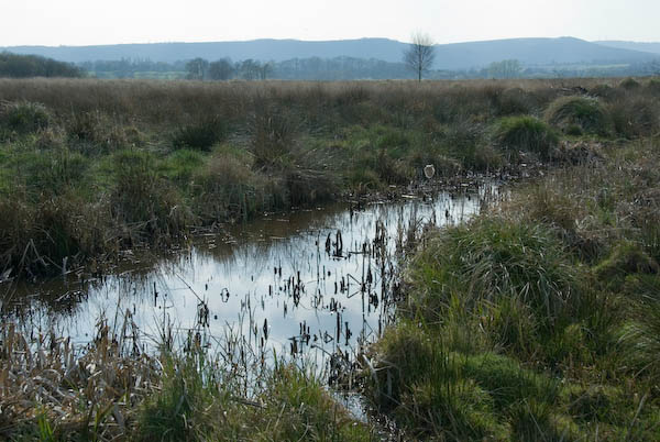 Amberley, Sussex © 2007, Peter Marshall