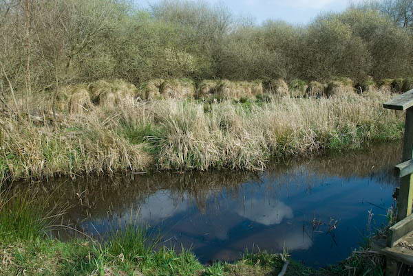 Amberley, Sussex © 2007, Peter Marshall