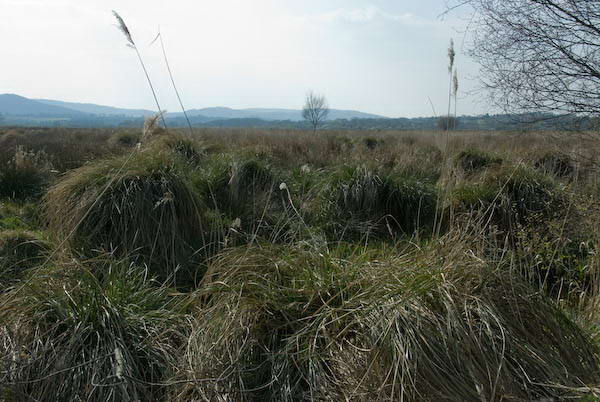 Amberley, Sussex © 2007, Peter Marshall