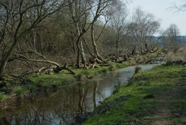 Amberley, Sussex © 2007, Peter Marshall