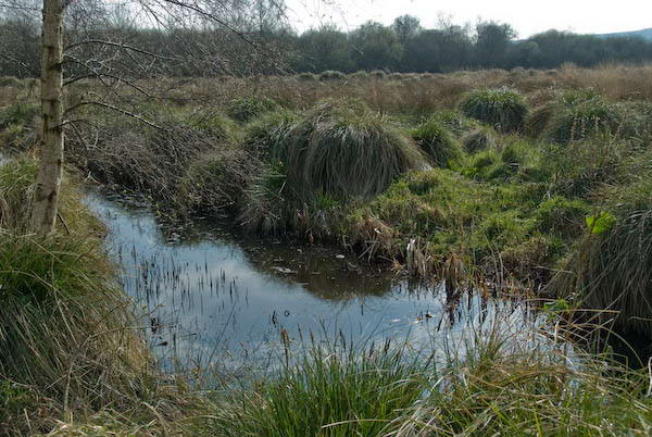 Amberley, Sussex © 2007, Peter Marshall
