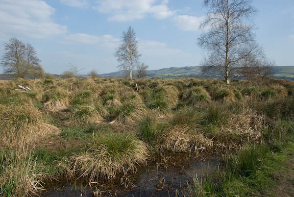 Amberley, Sussex © 2007, Peter Marshall