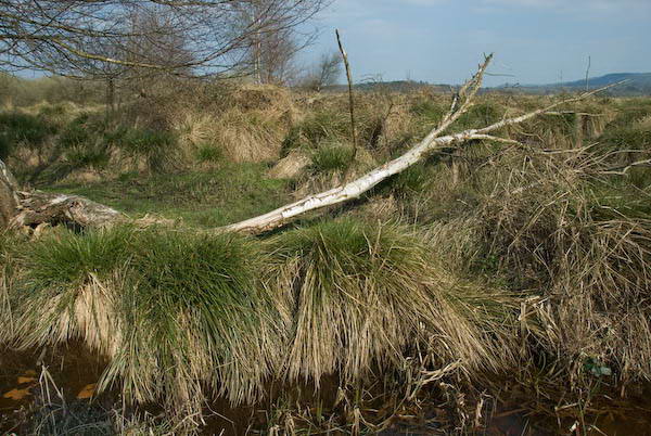 Amberley, Sussex © 2007, Peter Marshall