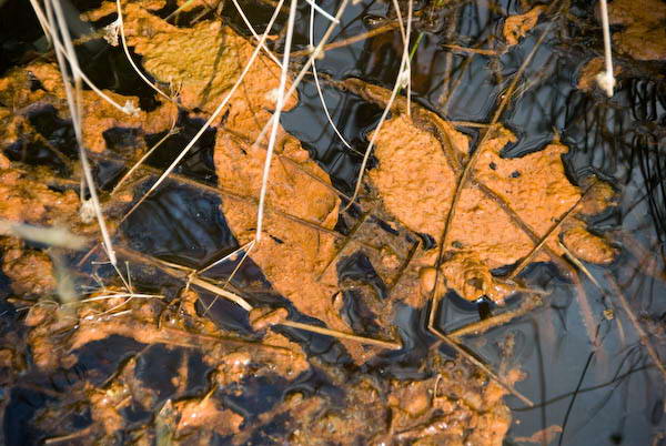 Amberley, Sussex © 2007, Peter Marshall