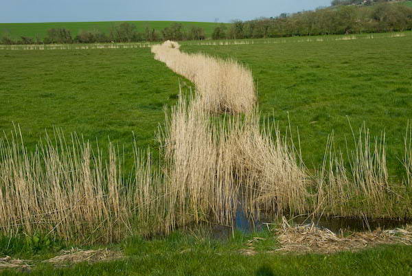 Amberley, Sussex © 2007, Peter Marshall