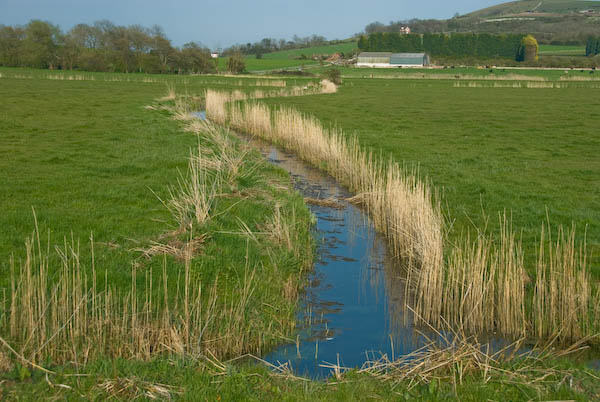 Amberley, Sussex © 2007, Peter Marshall