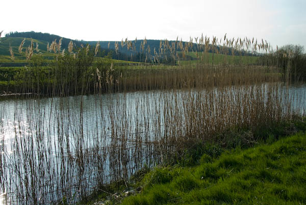 Amberley, Sussex © 2007, Peter Marshall