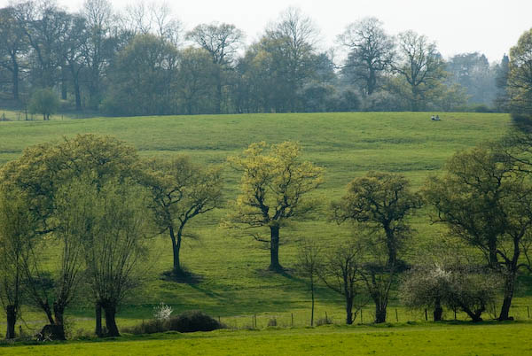 Staines, Runnymede and Coopers Hill © 2007, Peter Marshall