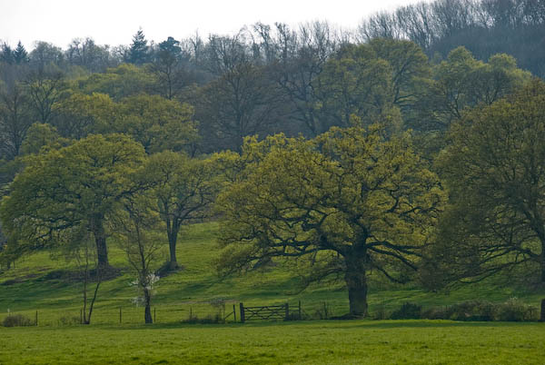Staines, Runnymede and Coopers Hill © 2007, Peter Marshall
