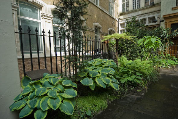 Christian Aid: London Churches © 2007, Peter Marshall