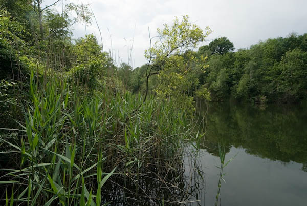 Chafford Hundred, Thurrock © 2007, Peter Marshall