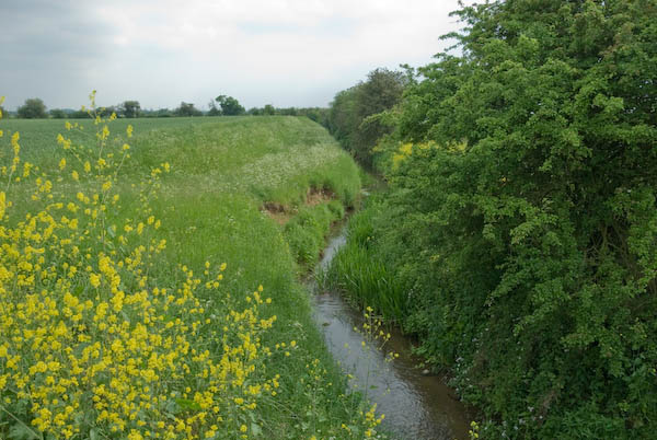 © 2007, Peter Marshall