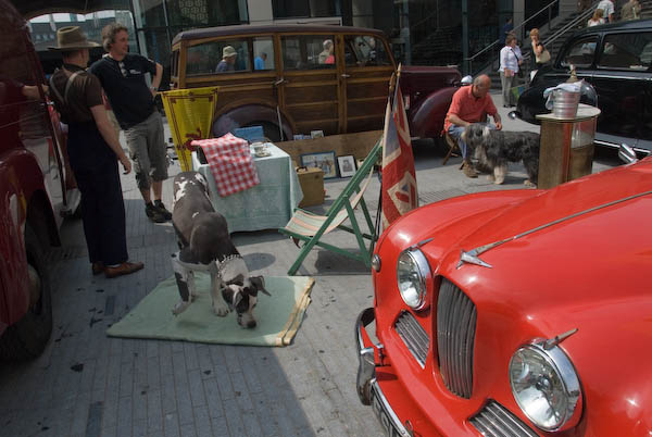 London's Royal Festival Hall Reopens