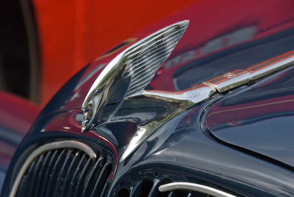 London's Royal Festival Hall Reopens