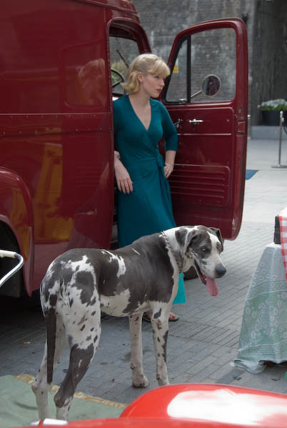 London's Royal Festival Hall Reopens