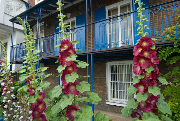 West London GreenFest &copy; 2007, Peter Marshall